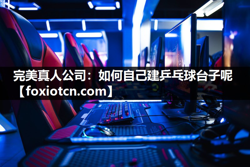 完美真人公司：如何自己建乒乓球台子呢