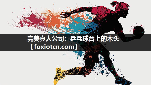 完美真人公司：乒乓球台上的木头