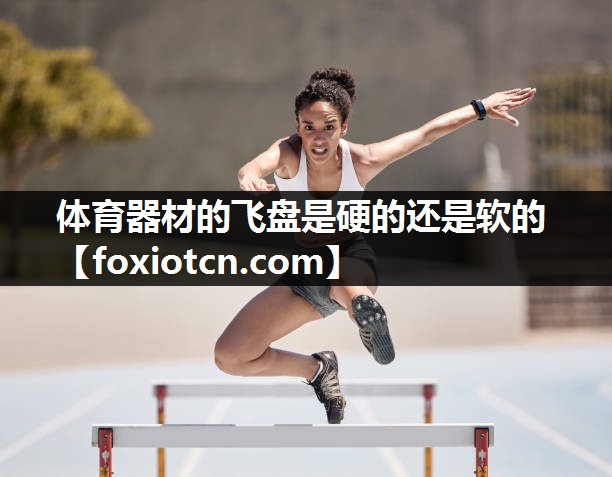 体育器材的飞盘是硬的还是软的