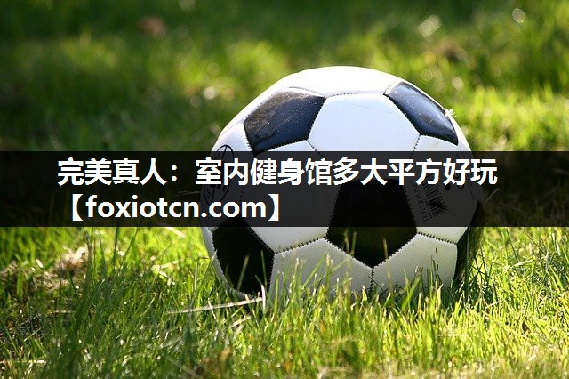 完美真人：室内健身馆多大平方好玩