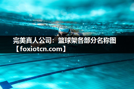 完美真人公司：篮球架各部分名称图
