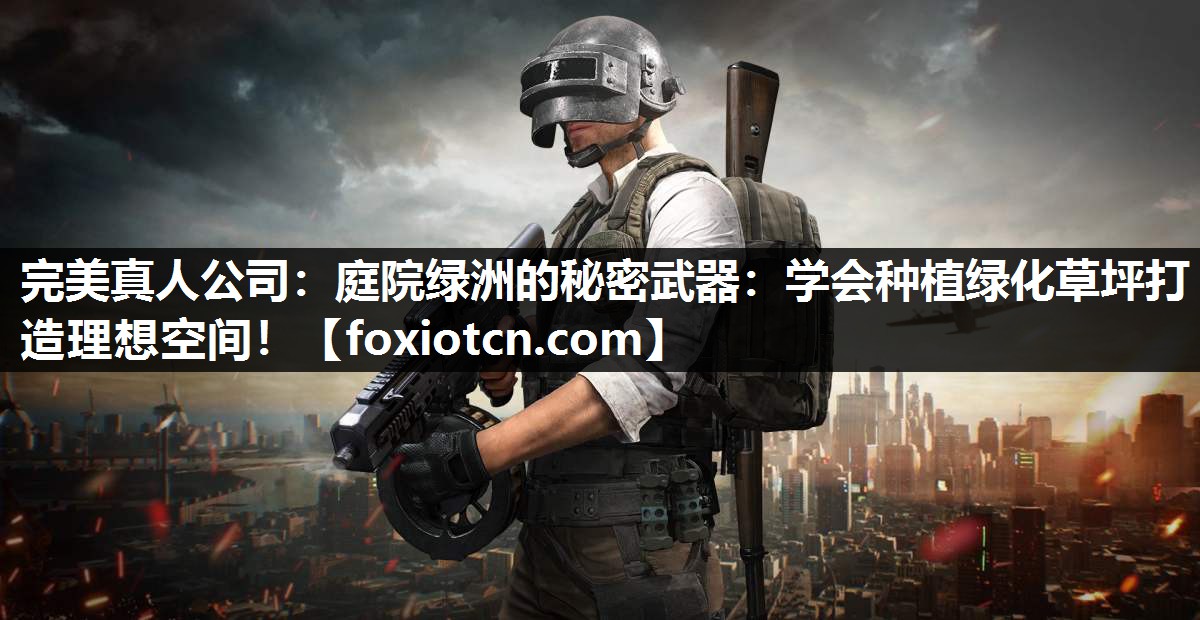 完美真人公司：庭院绿洲的秘密武器：学会种植绿化草坪打造理想空间！