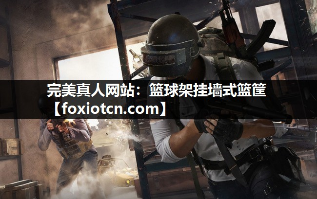 完美真人网站：篮球架挂墙式篮筐