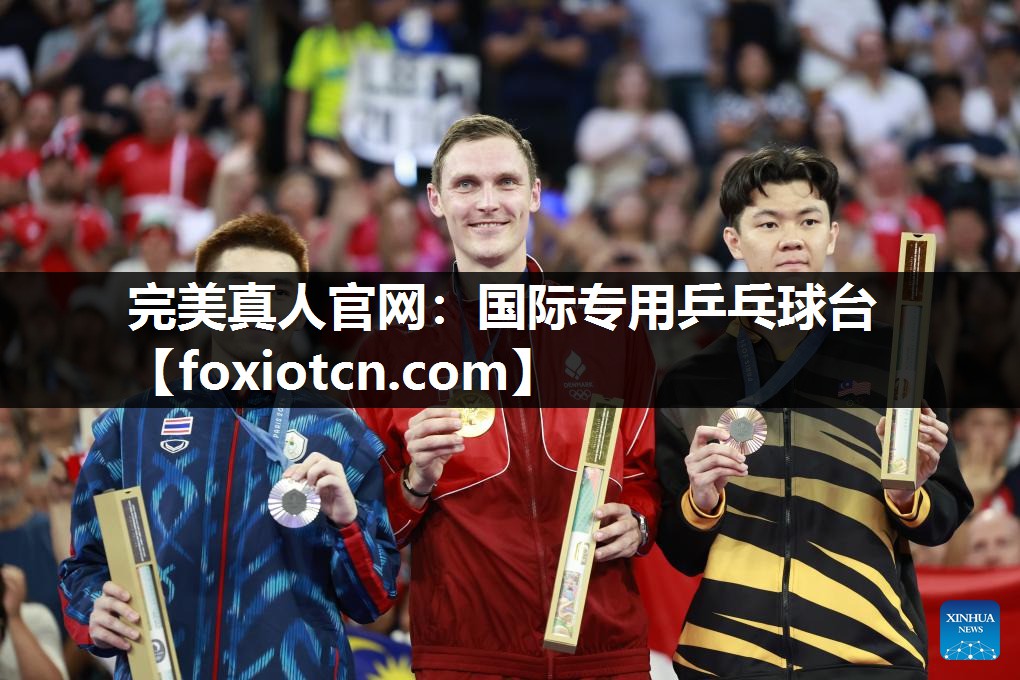 国际专用乒乓球台