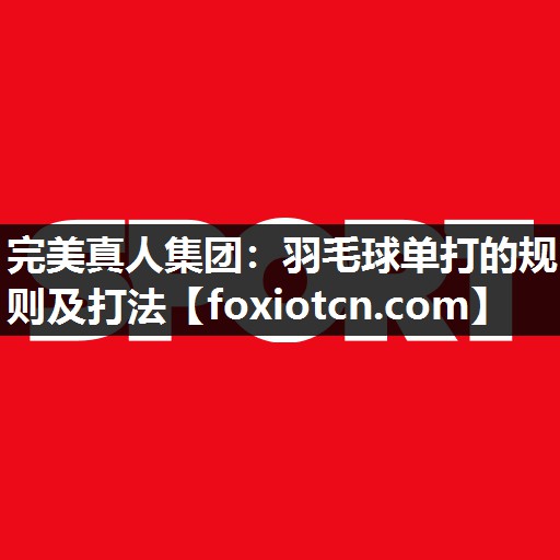 羽毛球单打的规则及打法