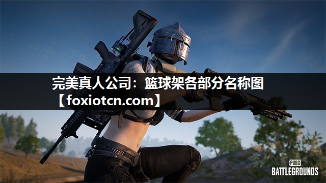 篮球架各部分名称图