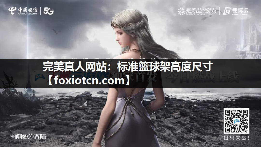 标准篮球架高度尺寸