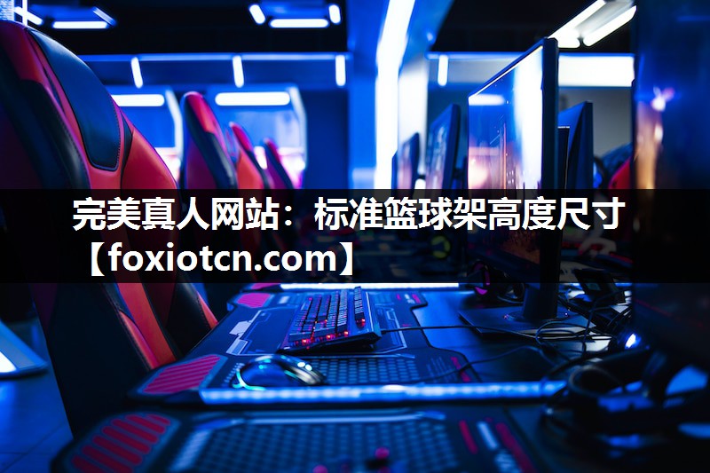 标准篮球架高度尺寸