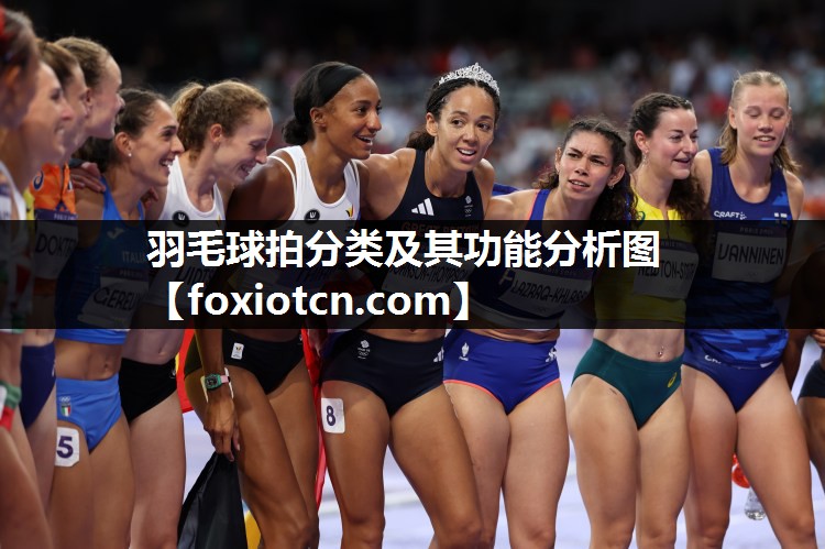 羽毛球拍分类及其功能分析图