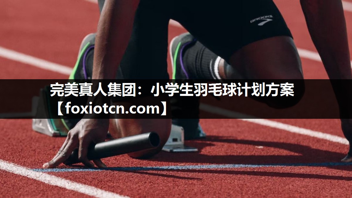 小学生羽毛球计划方案