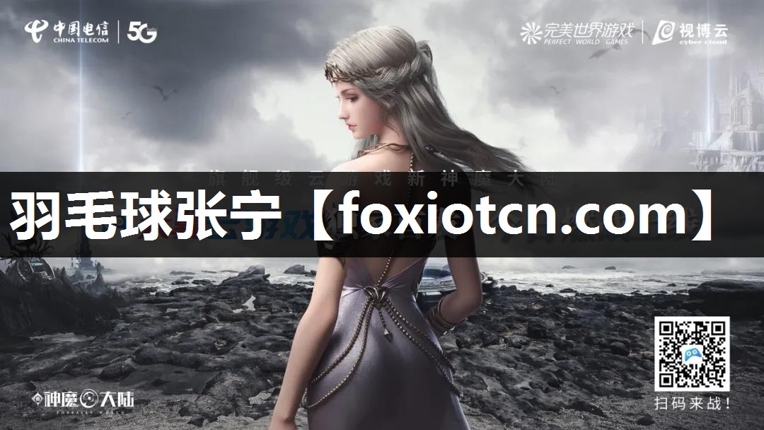 羽毛球张宁