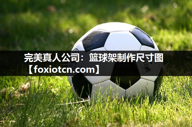 篮球架制作尺寸图
