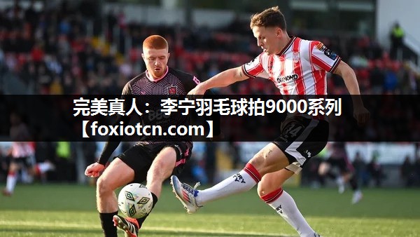 李宁羽毛球拍9000系列