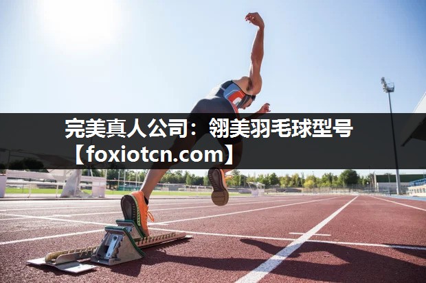翎美羽毛球型号