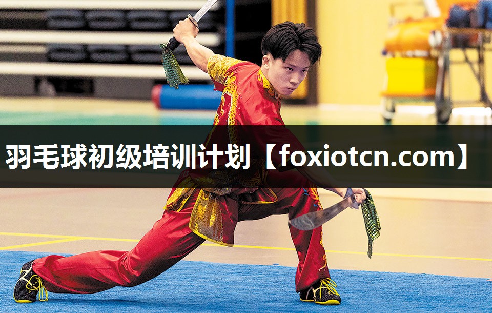 羽毛球初级培训计划