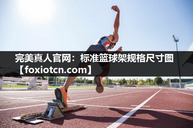 标准篮球架规格尺寸图