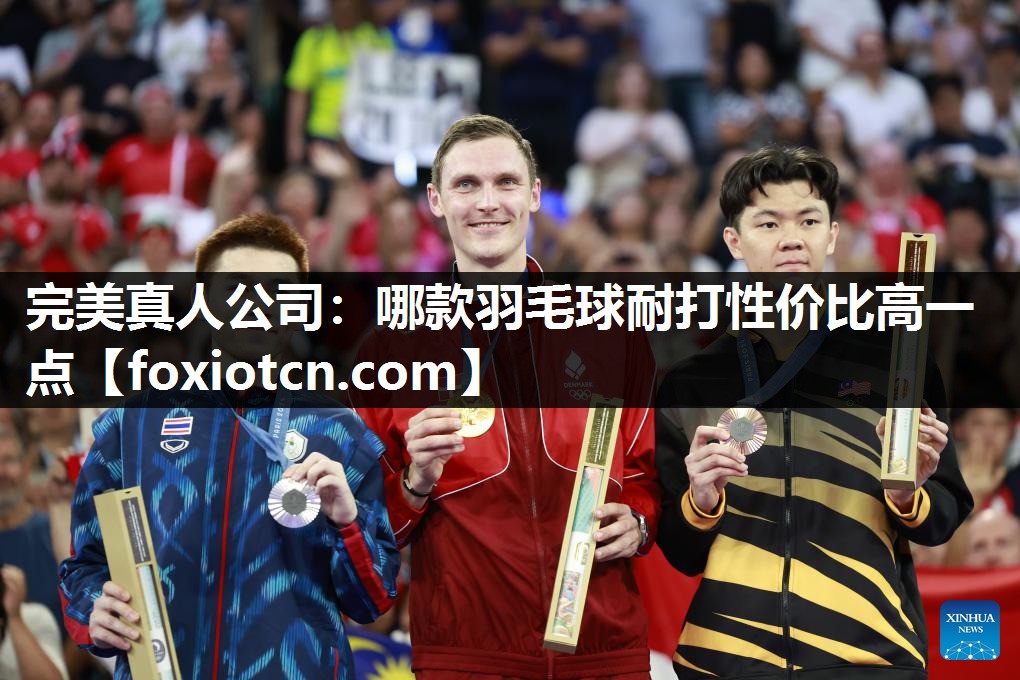 哪款羽毛球耐打性价比高一点