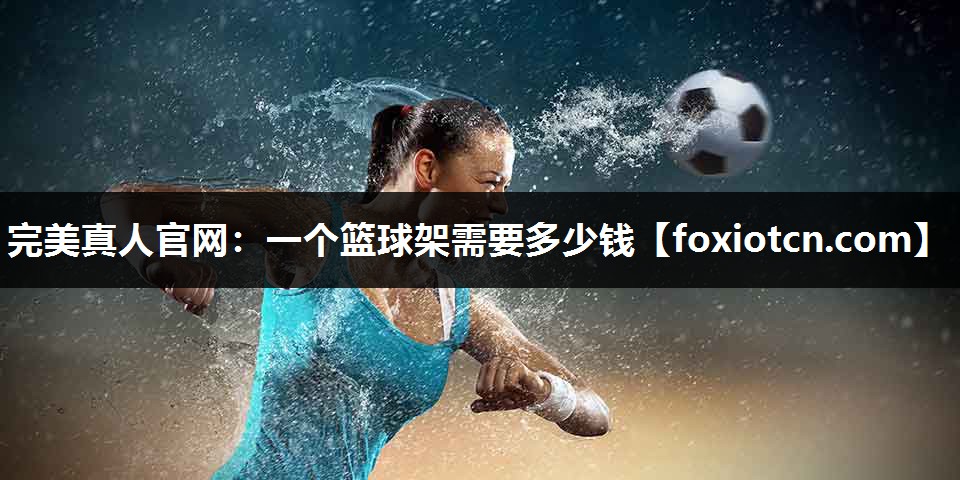 一个篮球架需要多少钱