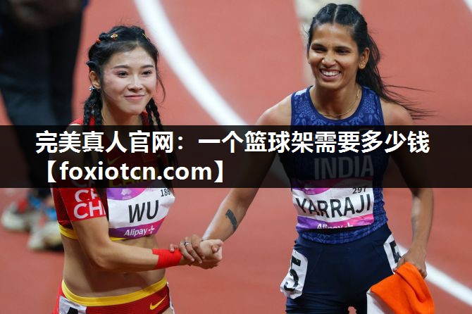 一个篮球架需要多少钱